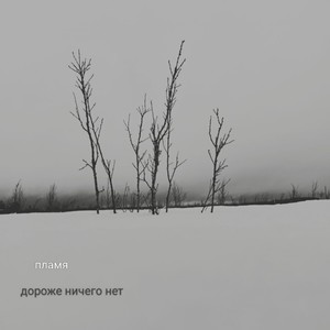 Дороже ничего нет