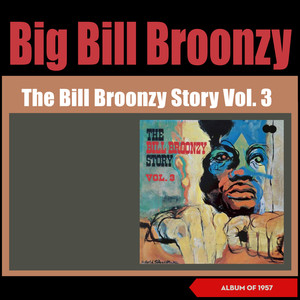 The Bill Broonzy Story, Vol. 3