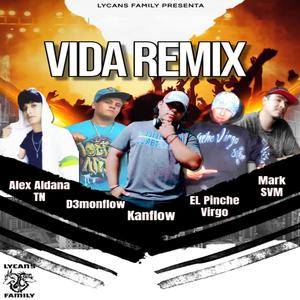 Vida (feat. Alex Aldana TN, Kanflow & El Pinche Virgo) (Remix Versión|Explicit)