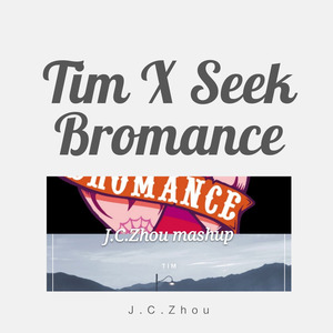 ARTY / Avicii-Tim Seek Bromance (J.C.Zhou Mashup) (J.C.Zhou / ARTY / Avicii remix)