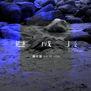 逆成长 (DJ King & IZZI Remake)