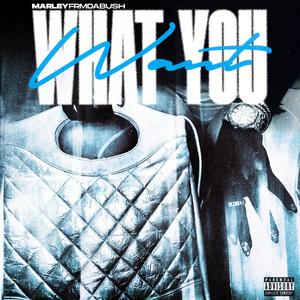 What You Want (Explicit)