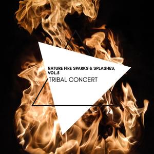 Tribal Concert - Nature Fire Sparks & Splashes, Vol.5