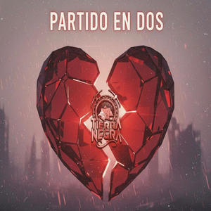 Partido en dos