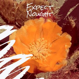 Expect Nought