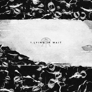 Lying In Wait (feat. Ringo Waterman)