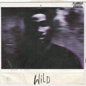 Wild (Explicit)