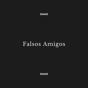 Falsos Amigos