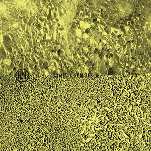 Flesh (Original Mix)