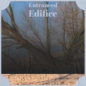 Entranced Edifice