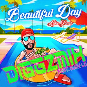 Beautiful Day: Diggzmix