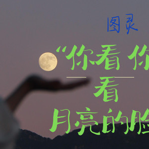 图灵 - 你看你看月亮的脸