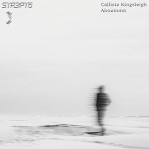 WHILE YOU WERE GONE (feat. Kingsleigh & Akounonn)