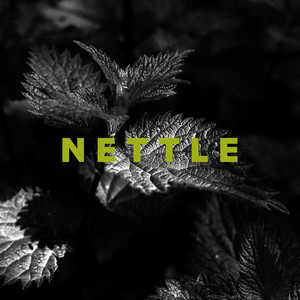 Nettle