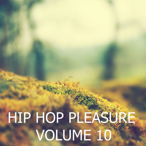 Hip Hop Pleasure, Vol.10