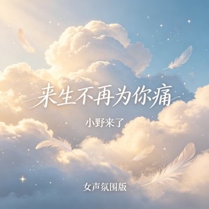 来生不再为你痛 (女声氛围版)
