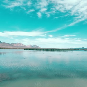 我们都是温柔的人