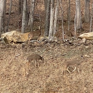 you didn't know me (Explicit)