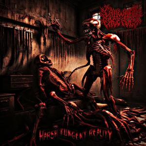 The Embodiement Of Ecstacy (feat. Alex)