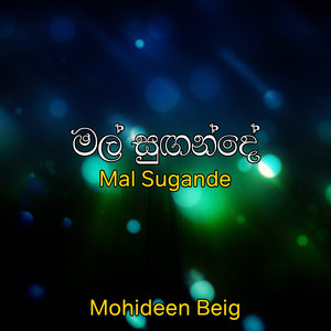 Marge Sansare