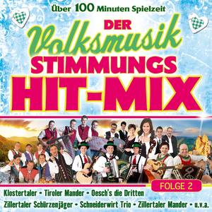 Der Volksmusik Stimmungs Hit-Mix - Folge 2