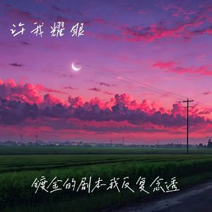 许我耀眼（镀金的剧本我反复念透）