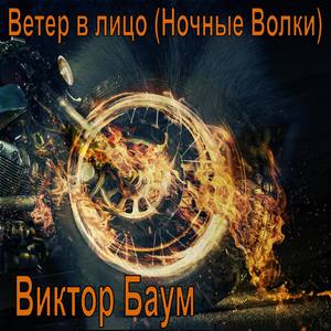 Ветер в лицо (Ночные Волки)