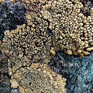 Lichen, Vol. 1 {Algae}