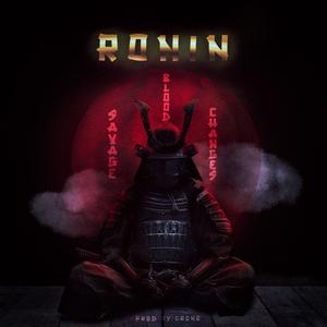 Savage (feat. Zhair MDG, Fabi Girl, Dement, Sivley & EHG) (Explicit)