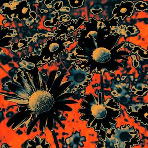 Simple and Plain (Explicit)