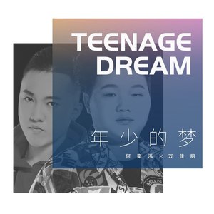 年少的梦