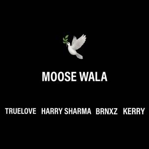 MOOSE WALA (feat. Kerry)