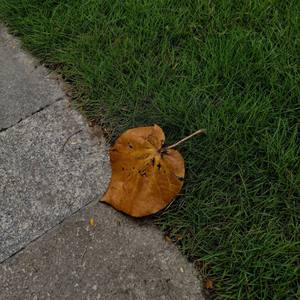 《多想在平庸的生活拥抱你》