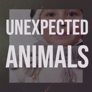 Unexpected Animals