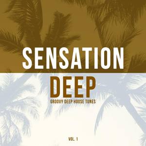 Sensation Deep, Vol. 1 (Groovy Deep House Tunes)