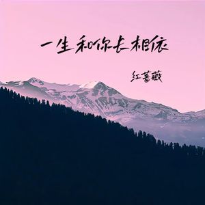 一生和你长相依封面