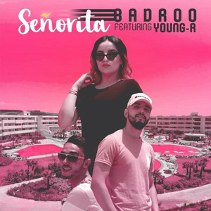 Señorita (Explicit)