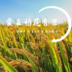 爱在稻花香里