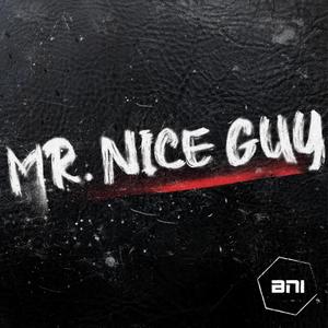 Mr Nice Guy (Explicit)