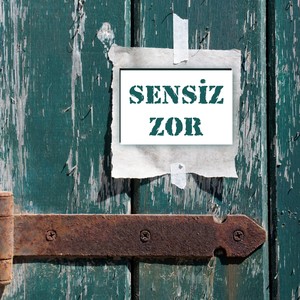 Sensiz Zor (Diana KreF vocal edit)