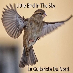 Little Bird in the Sky