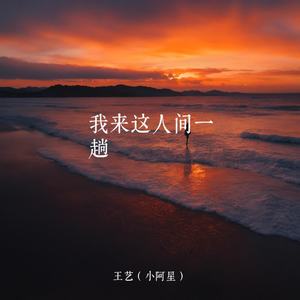 我来这人间一场 (伴奏)