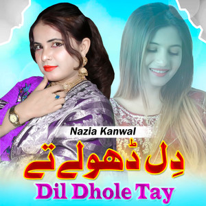 Dil Dhole Tay