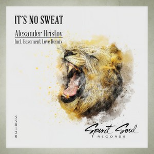 It's No Sweat (Basement Love Radio Remix)