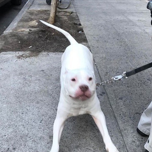 *****HH!!! (Prod. frdm)