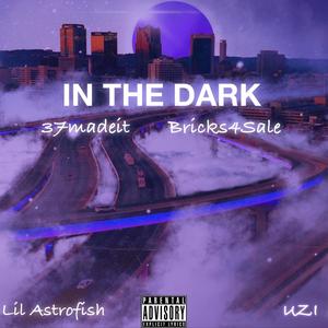 In The Dark (feat. Lil Astrofish & UZI) [Explicit]