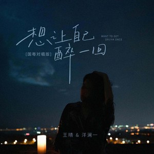 洋澜一 - 想让自己醉一回 (国粤对唱版)