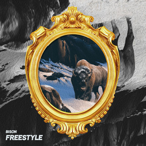 Bison Freestyle (Explicit)