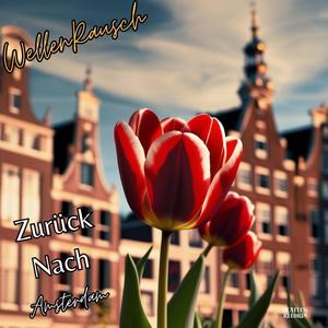 Zurück Nach Amsterdam (Akustikversion)