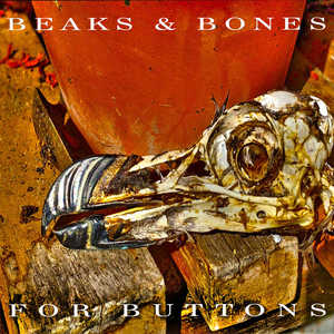 Beaks and Bones for Buttons